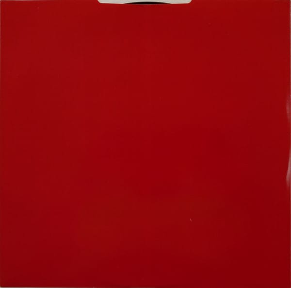 Sonic Youth - Daydream Nation - Image 10